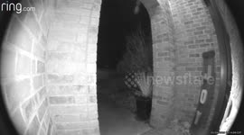 Ghost Caught on Ring Doorbell Camera?