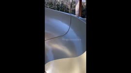 First toy car comes down the slide then the toddler !!