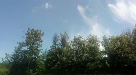 Windy sunny summer