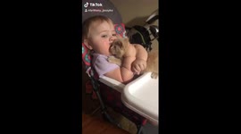 Baby girl hugging kitty
