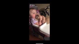 Baby girl hugging kitten she loves