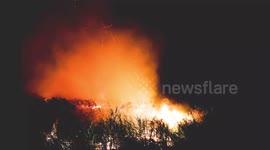 Timelapse Forest Fire In Indonesia