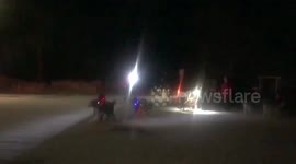 Alaskan Malamute Sojou Sled Dog Night Run
