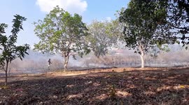 Bush Fire in Saumlaki Tanimbar, Maluku, Indonesia