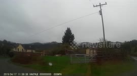 Scolding Dog for Chasing a Chicken