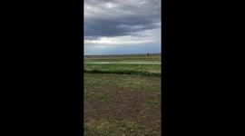Chorus of frogs heard loudly croaking in Kansas fields after much-needed rain