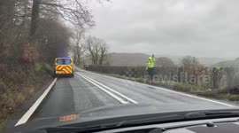 Fallen tree from storm ciara near Aberystwyth