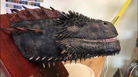 Dragon bust , Drogon face from Game of Thrones