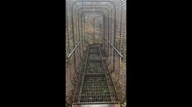 Falls of falloch in Scotland