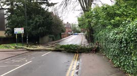St Albans to Hatfield Road blocked by fallen trees during Storm Ciara