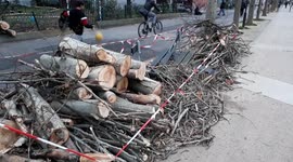 Paris streets littered with fallen trees and debris as Storm Ciara batters northern Europe