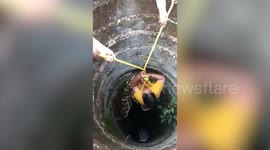 Firefighters rescue woman who accidentally slipped into a deep well in southern India