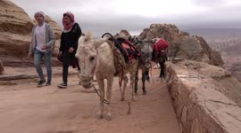 PETA says 'donkeys need to be banned' after new video reveals animals being abused at Petra site in Jordan
