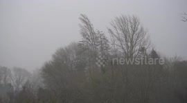 Trees blow around dramatically as Storm Ciara hits the UK countryside with strong winds and heavy rainfall