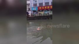 Elderly Chinese man swims across river to bypass blockade to get groceries from another village