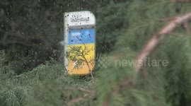 Fallen tree closes bus stop