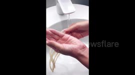 My daily things with my long natural nails