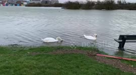 Brightlingsea Surge aftermath Storm Ciara part eight