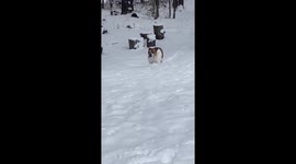 Winter storm in Michigan