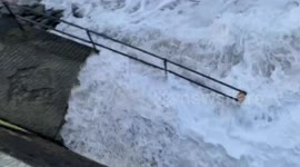 Couple and their sausage dog watching Storm Ciara batter Portreath beach in Cornwall with massive 30ft waves!