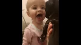 Baby keeps licking dog