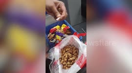 Paid peanuts: Watch $65,000 worth of cash get pulled out of currency smuggler's biscuits and nuts at Delhi airport