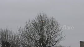 Storm Ciara travel Chaos at Heathrow Airport Iberia A320 ECILS mega crabbing lands  9feb2020 1027a MAD madrid