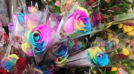 Special Multicolored Roses For Valentines Day
