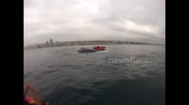 Humpback Whale rescued from Shark Nets 2