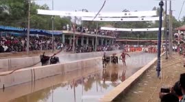 Cattle jockey breaks 30-year-record at racing event in southern India