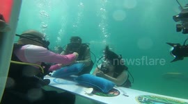 Thai couple get married in underwater ceremony for Valentine's Day