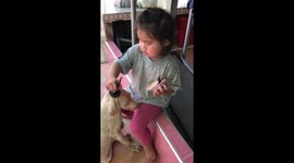 Dog stands still as two-year-old Thai girl applies makeup