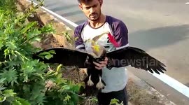 Darter bird found with beak trapped in roll of twine in southwest India