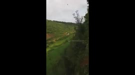 Thousands of bees attacked the man as he tried to reach the hive