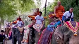 Buddhist monks ride elephants to temple for religious ceremony