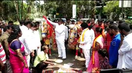 Valentine's Neigh: bizarre ceremony sees two horses married in India