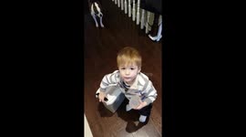 Toddler feeding dog fail