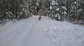 Slo-mo Snowy Beagle