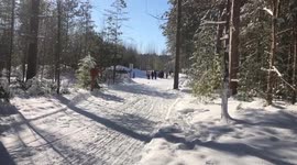 Mush Larose Sled dogs gather to help raise money for Cancer