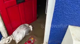 Water coming out of house