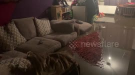 Mum-of-two with no insurance films desperate scenes inside home ruined by Storm Dennis