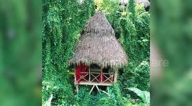 Fantastic footage of a secluded Tree house village.