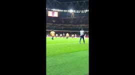 Steward falls over chasing pitch invader at Arsenal v Newcastle