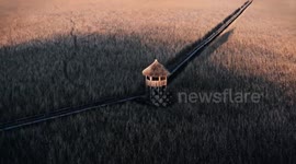 Stunning golden hour drone footage captures 'ethereal' Romanian reed preservation