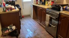 'Everything is absolutely ruined': Welsh woman documents aftermath caused by Storm Dennis flooding