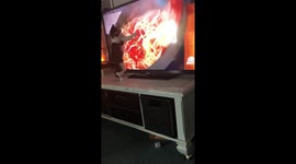 Cat loves to compete with Racheal Ray