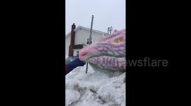 Massive dragon snow sculpture attracts attention in Newfoundland, Canada