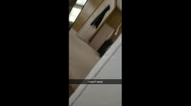Cat hilariously sneaks up on owner in suspense-filled video