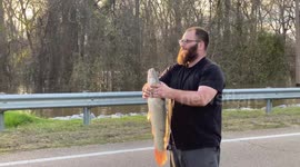 'Seth Rogen lookalike' catches huge fish with bare hands on flooded road in Mississippi