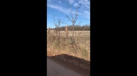 Oklahoma rancher sends message to pesky coyotes